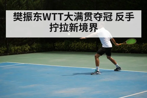 樊振东WTT大满贯夺冠 反手拧拉新境界