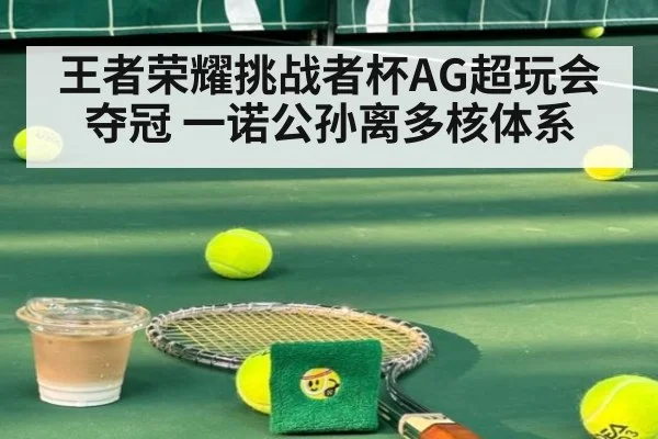 王者荣耀挑战者杯AG超玩会夺冠 一诺公孙离多核体系